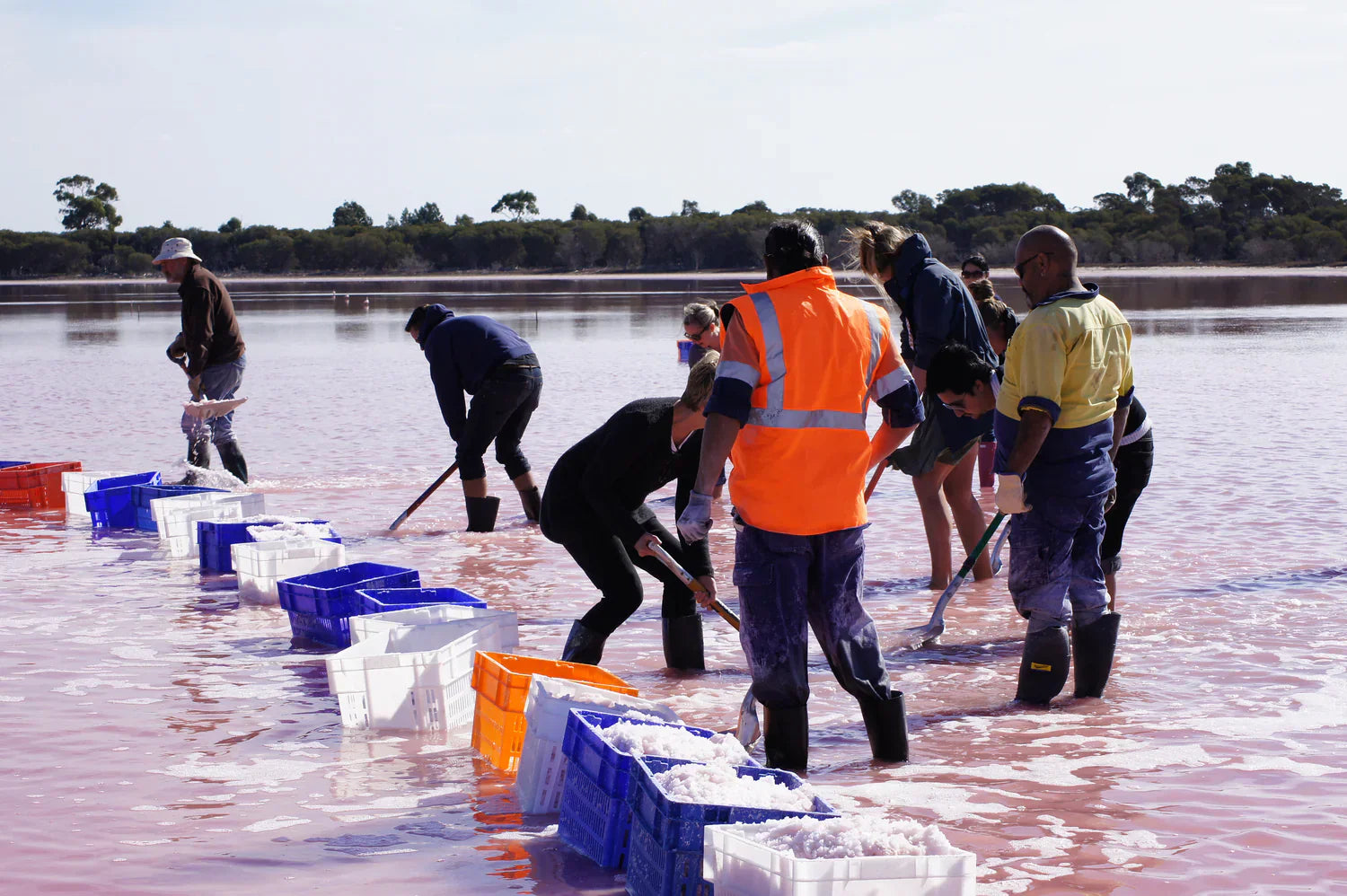 Australian Pink Lake Salt vs Himalayan: Why It Matters